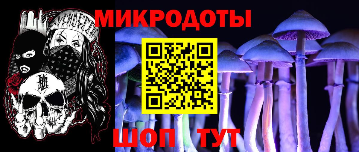 Галлюциногенные грибы Psilocybine cubensis  Галлюциногенные грибы Magic Shrooms  Вход с VPN  Нерюнгри 