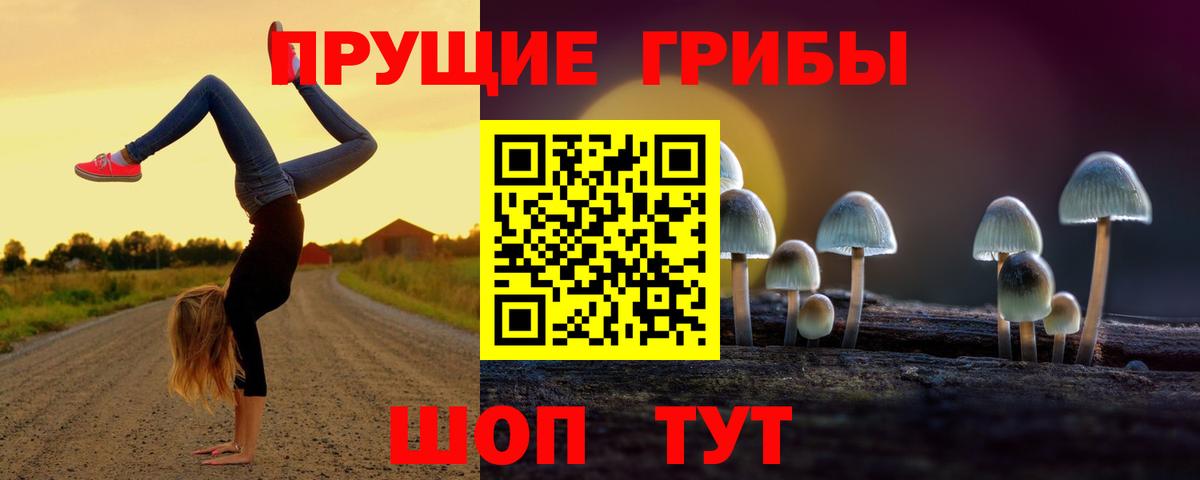 Псилоцибиновые грибы MAGIC MUSHROOMS Нерюнгри