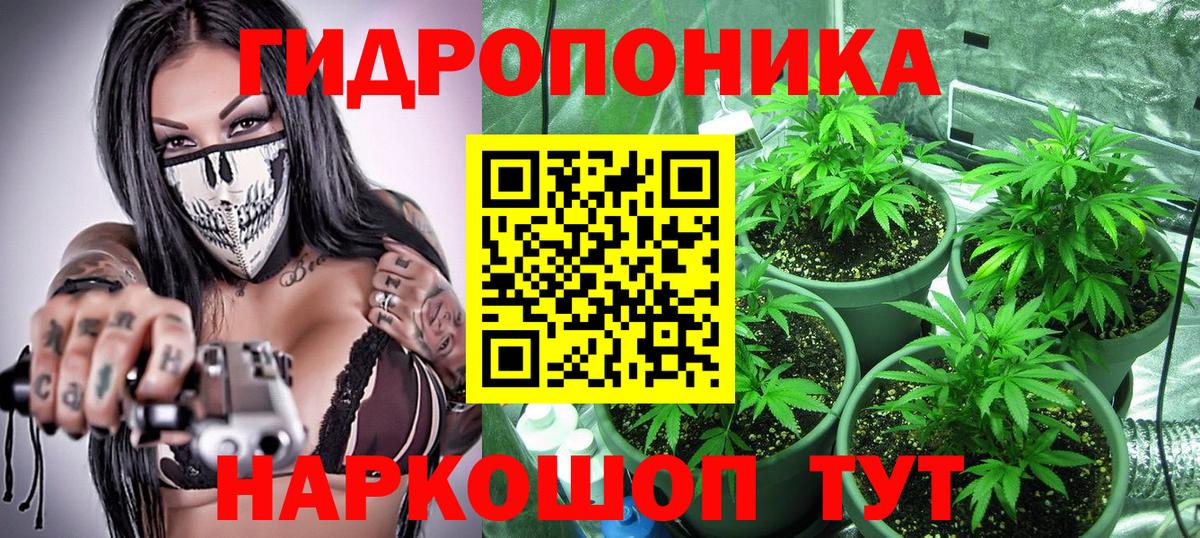 Канабис White Widow Нерюнгри